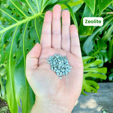 Load image into Gallery viewer, Lechuza Pon