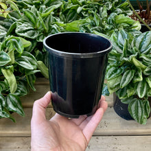 Load image into Gallery viewer, Black Nursery Pot 12cm (1L)