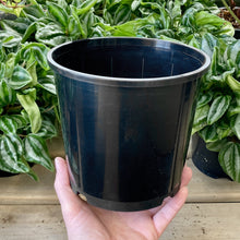 Load image into Gallery viewer, Black Nursery Pot 17cm (2.5L)