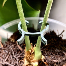 Load image into Gallery viewer, Plant Support Clamp Clips
