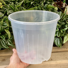 Load image into Gallery viewer, Clear Nursery Pot 23cm (6L)