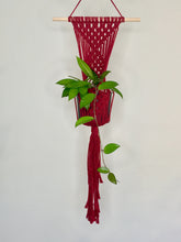 Load image into Gallery viewer, 'Diamanté' Macrame Wall Plant Hanger
