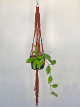 Load image into Gallery viewer, 'Fully Knotted' Macrame Plant Hanger