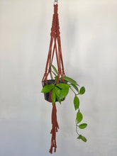 Load image into Gallery viewer, 'Half n Half' Macrame Plant Hanger