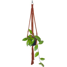 Load image into Gallery viewer, 'Half Straight' Macrame Plant Hanger