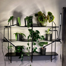 Load image into Gallery viewer, USB Clip-On LED Grow Light