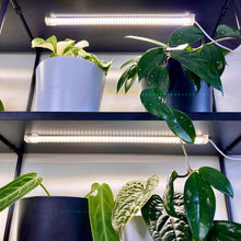 Load image into Gallery viewer, USB Double Strip LED Grow Light + Adaptor Combo