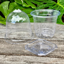 Load image into Gallery viewer, Clear Propagation Pot with Humidity Dome 9cm