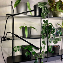 Load image into Gallery viewer, USB Clip-On LED Grow Light