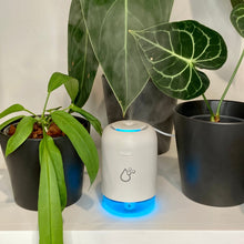 Load image into Gallery viewer, Sansai 260ml USB Humidifier