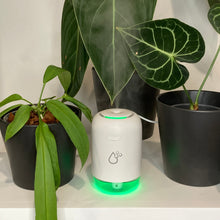 Load image into Gallery viewer, Sansai 260ml USB Humidifier