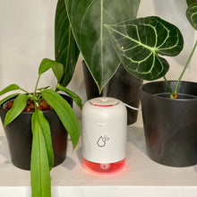 Load image into Gallery viewer, Sansai 260ml USB Humidifier