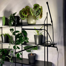 Load image into Gallery viewer, USB Clip-On LED Grow Light
