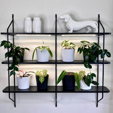 Load image into Gallery viewer, USB Double Strip LED Grow Light + Adaptor Combo