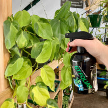 Load image into Gallery viewer, Growth Technology GT Foliar 500ml