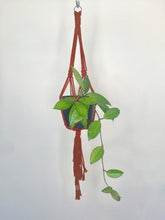 Load image into Gallery viewer, 'Knotted' Macrame Plant Hanger