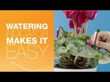 Load and play video in Gallery viewer, Gro-Sure Watering Indicator