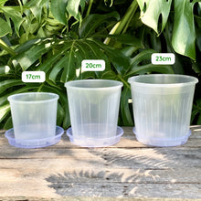 Load image into Gallery viewer, Clear Pot Saucer 200mm
