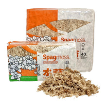 Load image into Gallery viewer, Besgrow NZ Spagmoss
