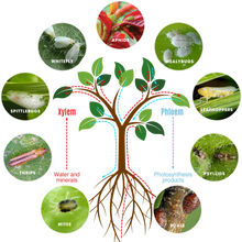 Load image into Gallery viewer, Grosafe GroVentive Systemic Insecticide