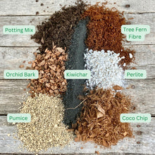 Load image into Gallery viewer, GrowingGreen House Plant Mix