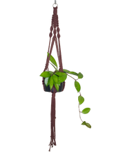 Load image into Gallery viewer, 'Half n Half' Macrame Plant Hanger