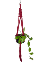 Load image into Gallery viewer, 'Fully Twisted' Macrame Plant Hanger