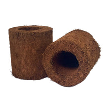 Load image into Gallery viewer, Tree Fern Fibre Pot 10cm