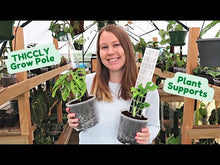 Load and play video in Gallery viewer, THICCLY Clear Grow Pole