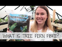 Load and play video in Gallery viewer, Tree Fern Fibre 10L