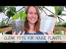 Load and play video in Gallery viewer, Clear Nursery Pot 9cm (330ml)