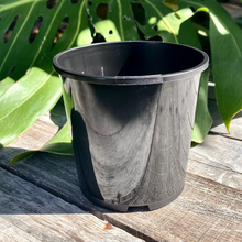 Load image into Gallery viewer, Complete Nursery Pot Sample Set