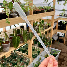 Load image into Gallery viewer, Growth Technology Flower Focus