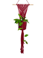 Load image into Gallery viewer, 'Diamanté' Macrame Wall Plant Hanger