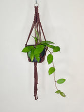 Load image into Gallery viewer, 'Half Straight' Macrame Plant Hanger