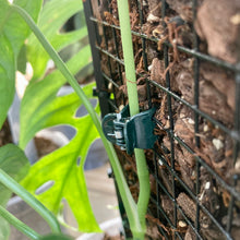Load image into Gallery viewer, Plant Support Butterfly Clips