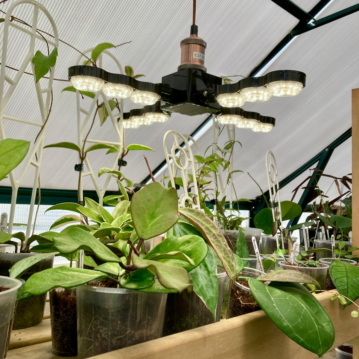 60w grow light bulb Buy 60 Watt Sansi LED Grow Light – GrowingGreen NZ