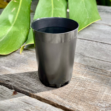 Load image into Gallery viewer, Complete Nursery Pot Sample Set