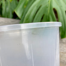 Load image into Gallery viewer, Clear Nursery Pot 17cm SECONDS