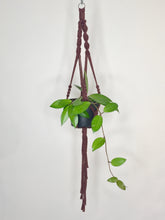 Load image into Gallery viewer, 'Fully Twisted' Macrame Plant Hanger