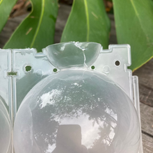 Load image into Gallery viewer, Propagation Rooting Ball Medium (8cm) SECONDS