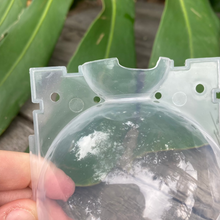 Load image into Gallery viewer, Propagation Rooting Ball Medium (8cm) SECONDS