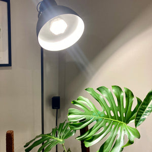 24 Watt Sansi LED Grow Light