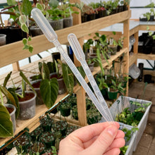 Load image into Gallery viewer, Clear Pipette 3ml/5ml