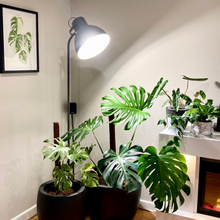 Load image into Gallery viewer, 24 Watt Sansi LED Grow Light