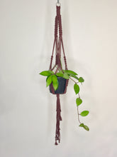 Load image into Gallery viewer, 'Fully Knotted' Macrame Plant Hanger