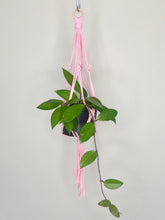 Load image into Gallery viewer, 'Knotted' Macrame Plant Hanger
