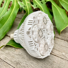 Load image into Gallery viewer, 24 Watt Sansi LED Grow Light