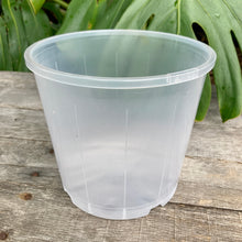 Load image into Gallery viewer, Clear Nursery Pot 17cm SECONDS
