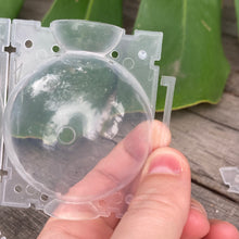 Load image into Gallery viewer, Propagation Rooting Ball Small (5cm) SECONDS